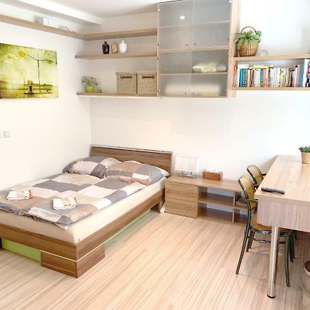 Krasny Apartman U Lesa, Trolejbus Do Centra A Bvv, Parkovani Zdarma Brno Buitenkant foto