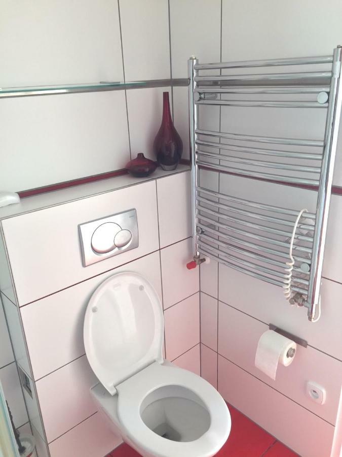 Krasny Apartman U Lesa, Trolejbus Do Centra A Bvv, Parkovani Zdarma Brno Buitenkant foto
