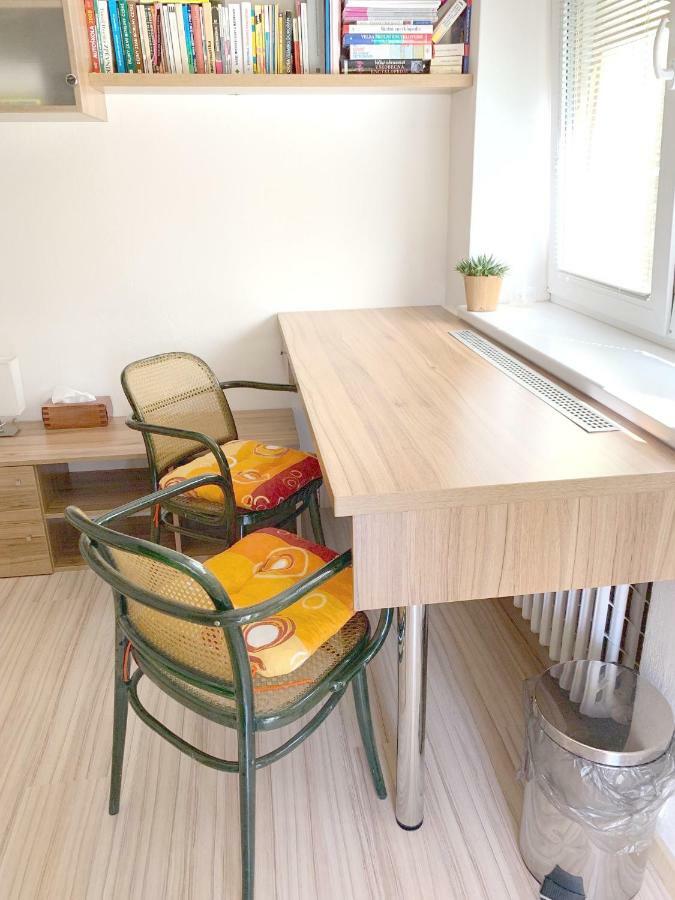 Krasny Apartman U Lesa, Trolejbus Do Centra A Bvv, Parkovani Zdarma Brno Buitenkant foto