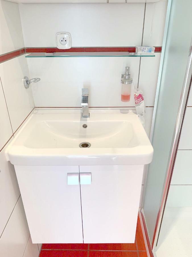 Krasny Apartman U Lesa, Trolejbus Do Centra A Bvv, Parkovani Zdarma Brno Buitenkant foto