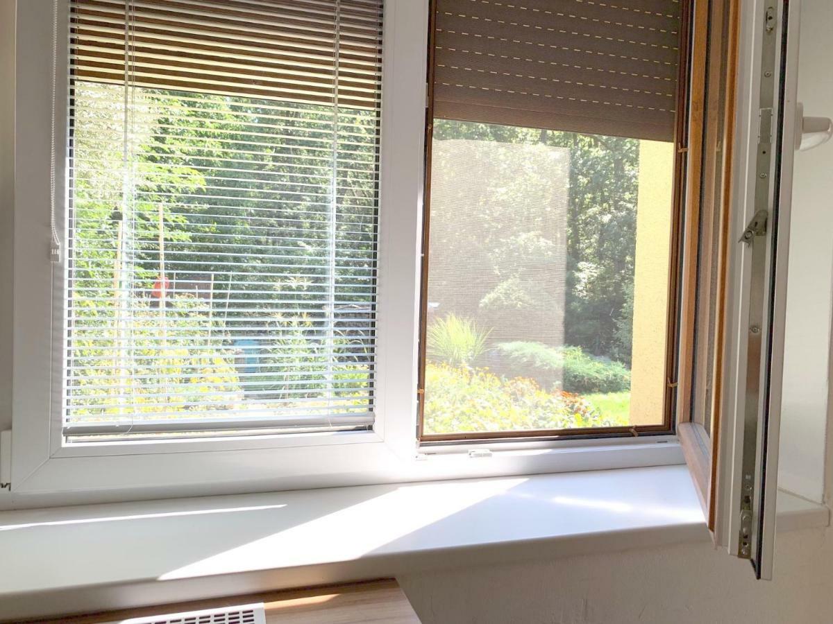 Krasny Apartman U Lesa, Trolejbus Do Centra A Bvv, Parkovani Zdarma Brno Buitenkant foto